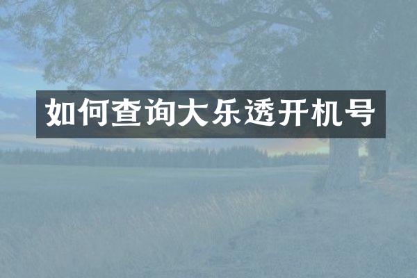 如何查询大乐透开机号
