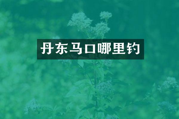 丹东马口哪里钓