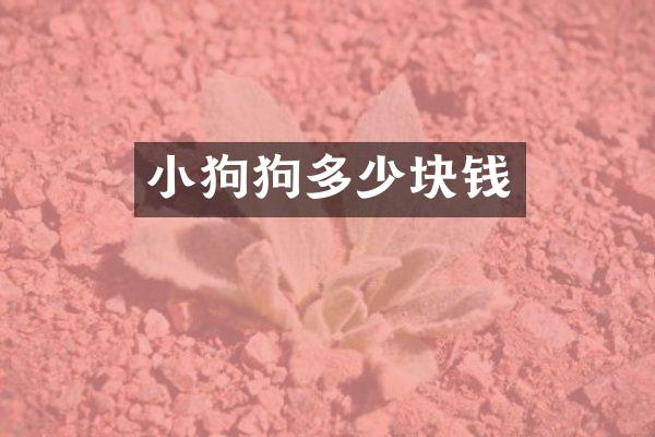小狗狗多少块钱