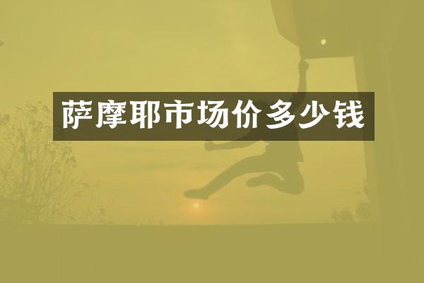 萨摩耶市场价多少钱