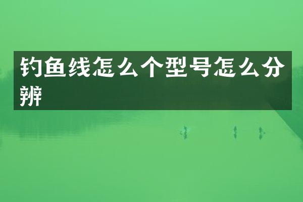 钓鱼线怎么个型号怎么分辨