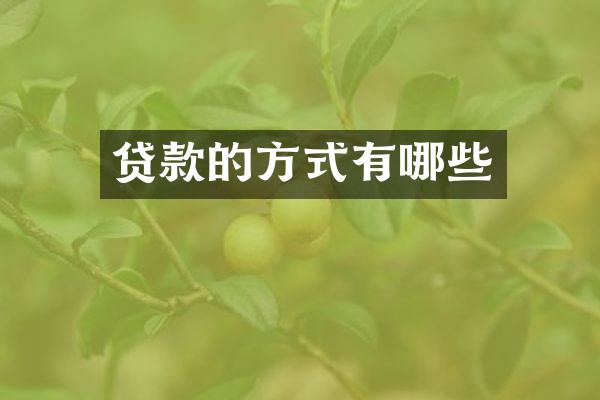 贷款的方式有哪些