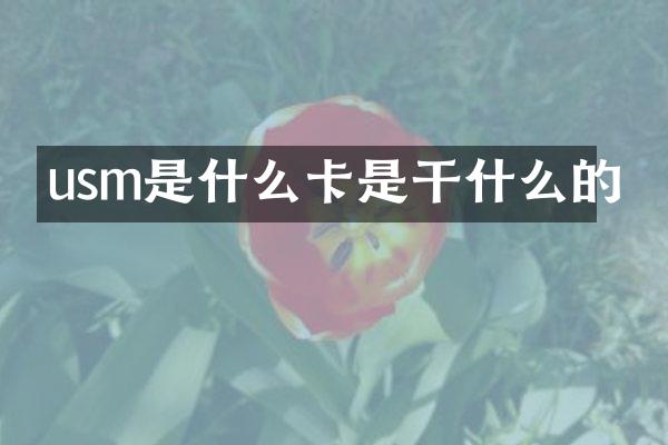 usm是什么卡是干什么的
