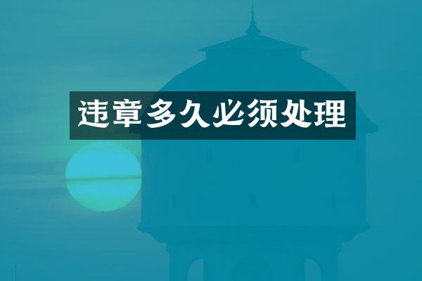 违章多久必须处理