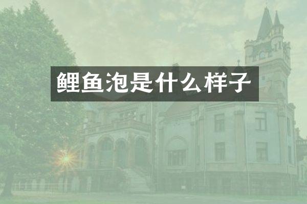 鲤鱼泡是什么样子