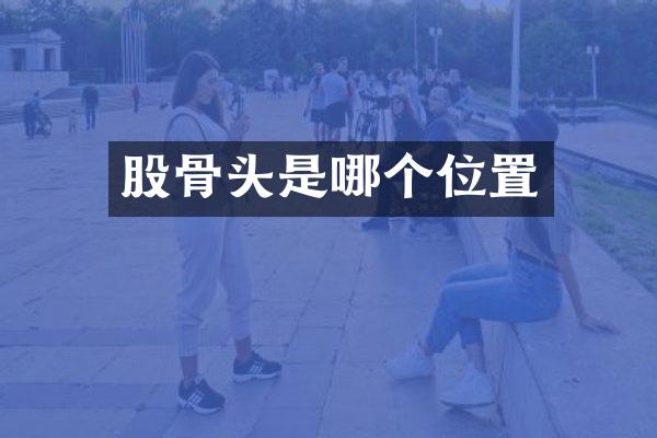 股骨头是哪个位置