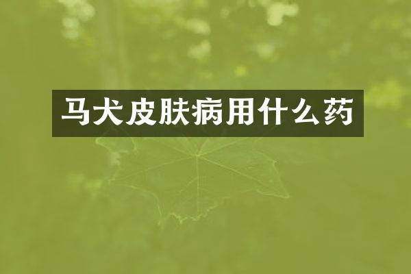 马犬皮肤病用什么药