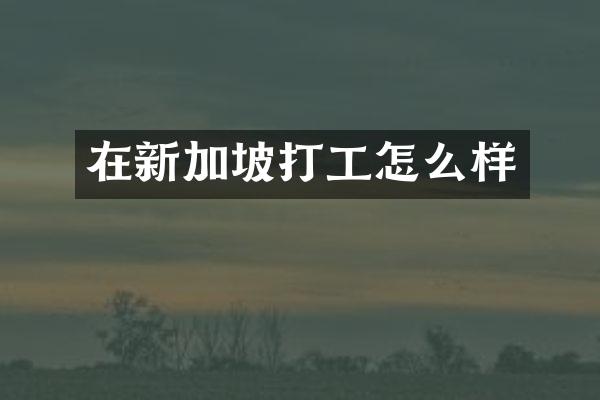 在新加坡打工怎么样