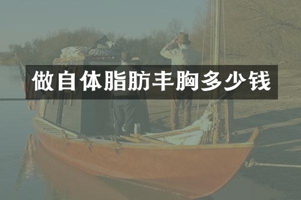 做自体脂肪丰胸多少钱