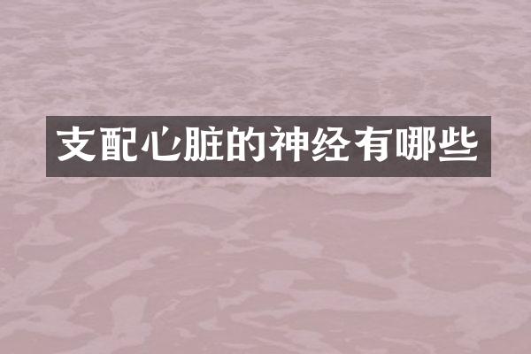 支配心脏的神经有哪些