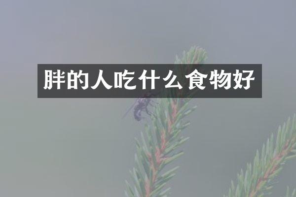 胖的人吃什么食物好