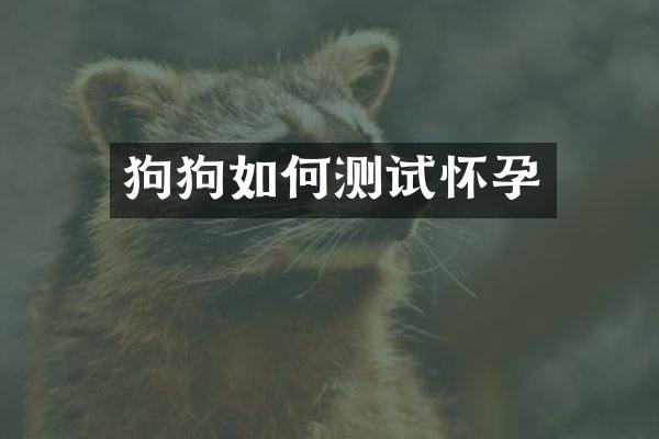 狗狗如何测试怀孕