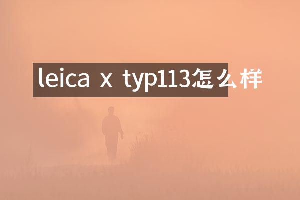 leica x typ113怎么样