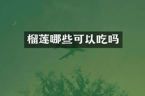 榴莲哪些可以吃吗
