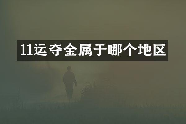 11运夺金属于哪个地区