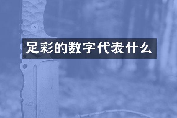 足彩的数字代表什么