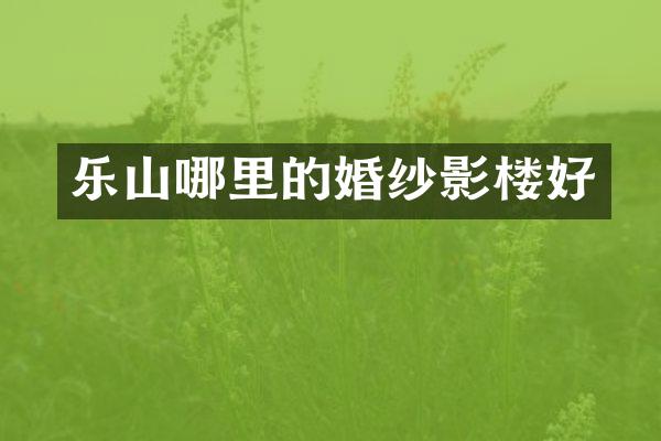乐山哪里的婚纱影楼好