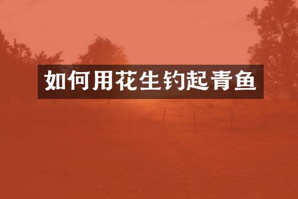 如何用花生钓起青鱼