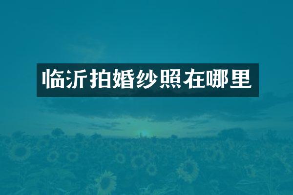 临沂拍婚纱照在哪里