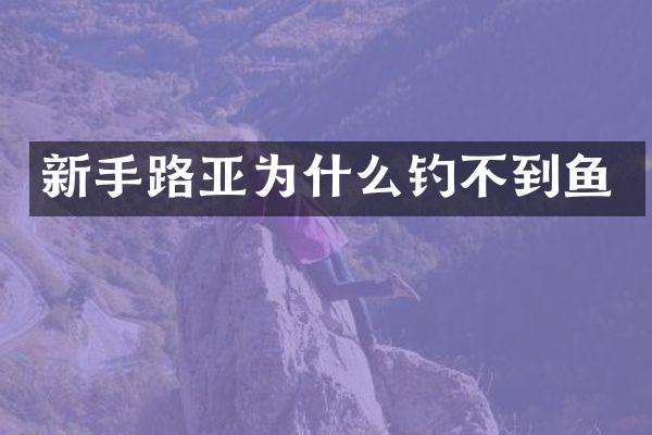 新手路亚为什么钓不到鱼