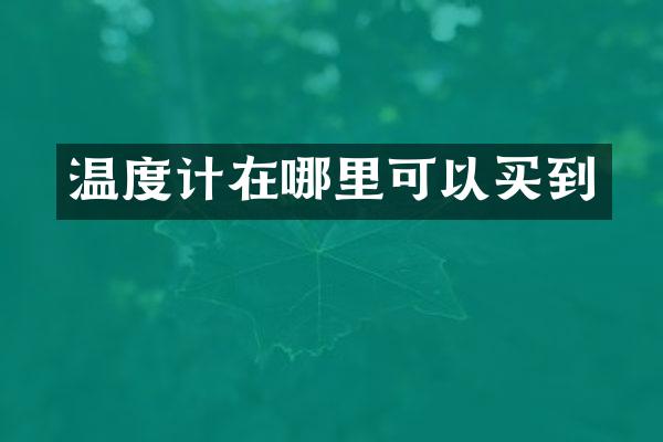 温度计在哪里可以买到