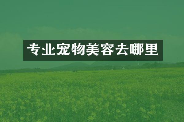 专业宠物美容去哪里