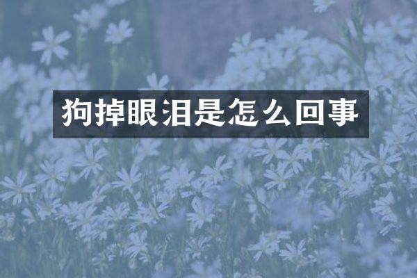 狗掉眼泪是怎么回事