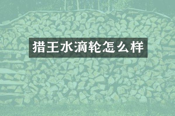 猎王水滴轮怎么样