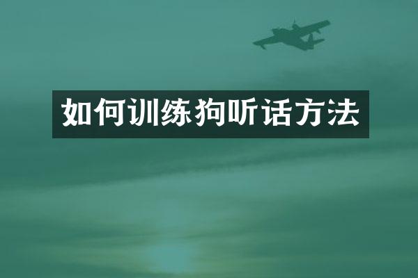 如何训练狗听话方法