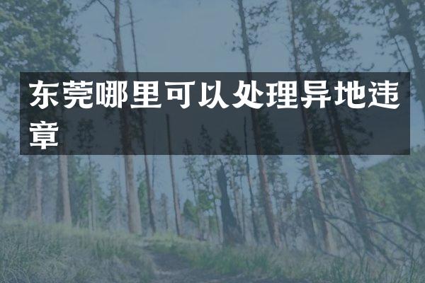 东莞哪里可以处理异地违章