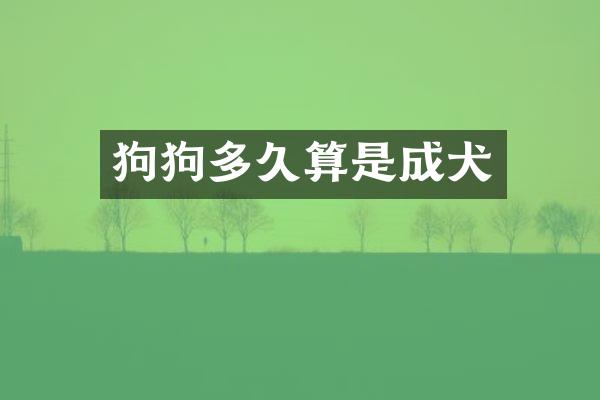 狗狗多久算是成犬