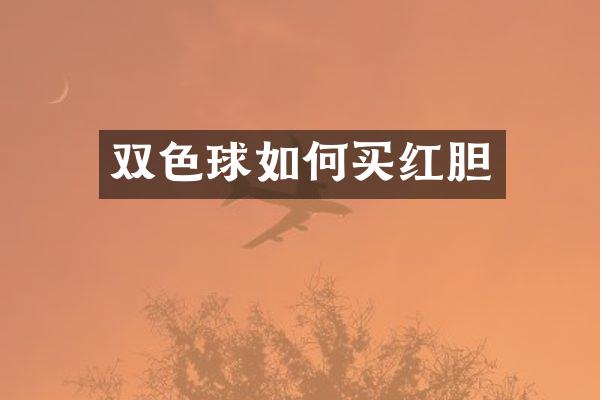 双色球如何买红胆