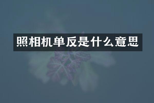 照相机单反是什么意思