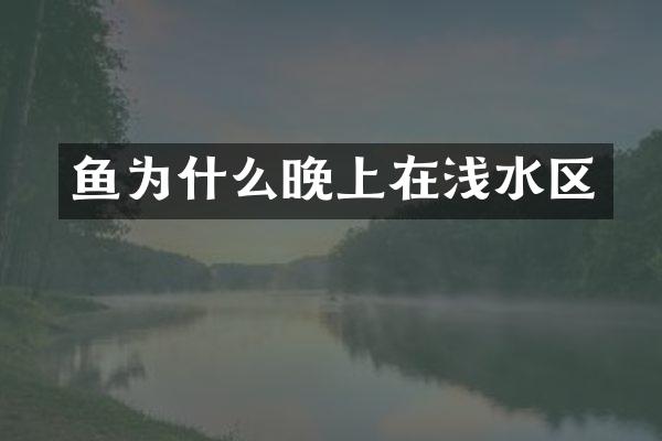 鱼为什么晚上在浅水区