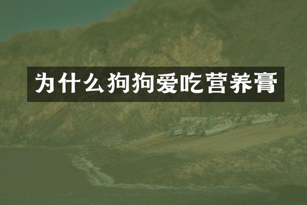 为什么狗狗爱吃营养膏