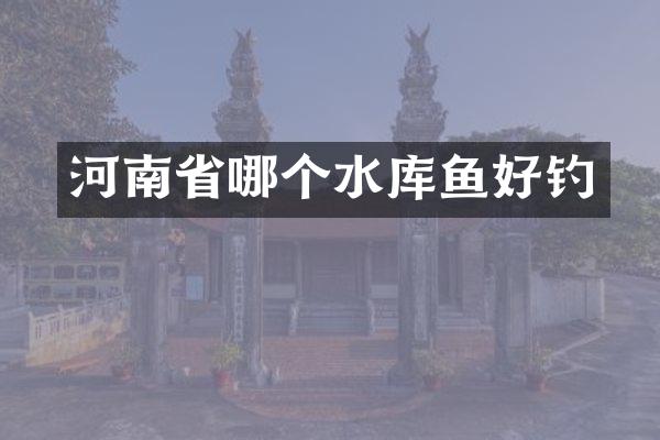 河南省哪个水库鱼好钓