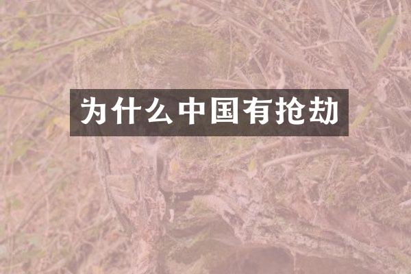 为什么中国有抢劫