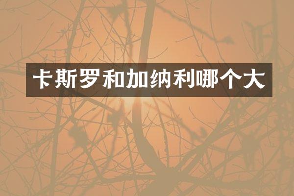 卡斯罗和加纳利哪个大