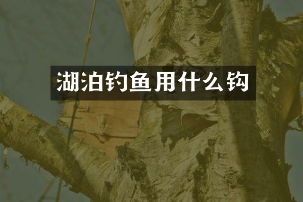 湖泊钓鱼用什么钩