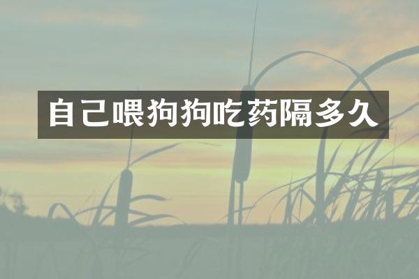 自己喂狗狗吃药隔多久