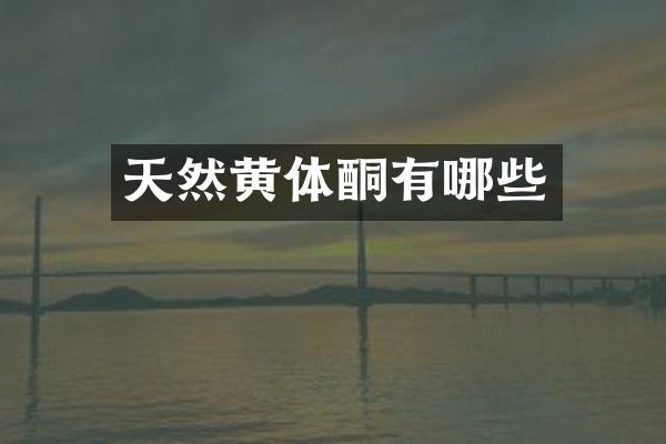 天然黄体酮有哪些