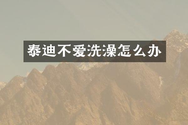 泰迪不爱洗澡怎么办