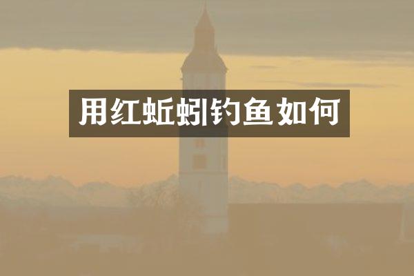 用红蚯蚓钓鱼如何