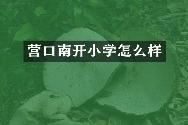 营口南开小学怎么样