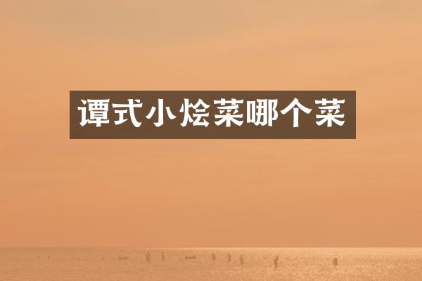 谭式小烩菜哪个菜