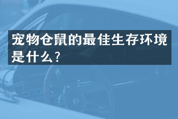 宠物仓鼠的最佳生存环境是什么？