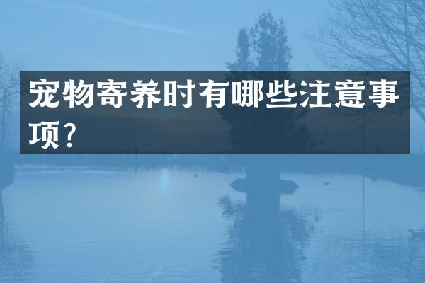 宠物寄养时有哪些注意事项？