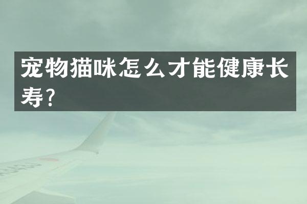 宠物猫咪怎么才能健康长寿？