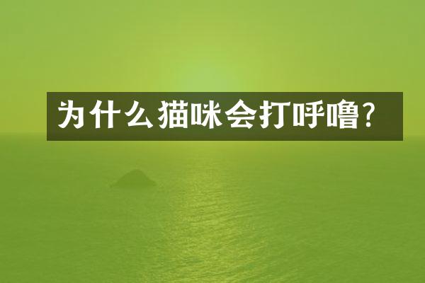 为什么猫咪会打呼噜？
