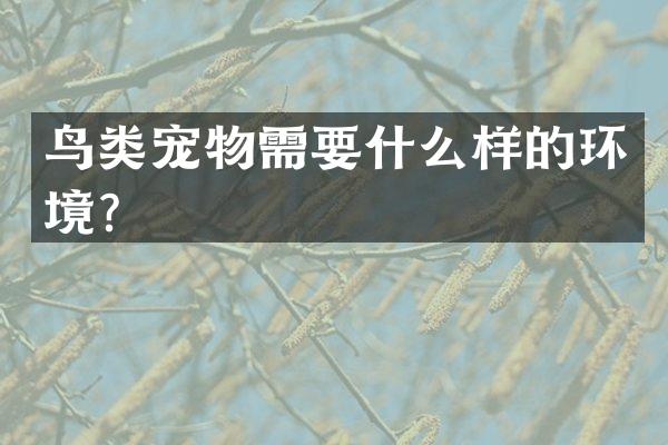 鸟类宠物需要什么样的环境？